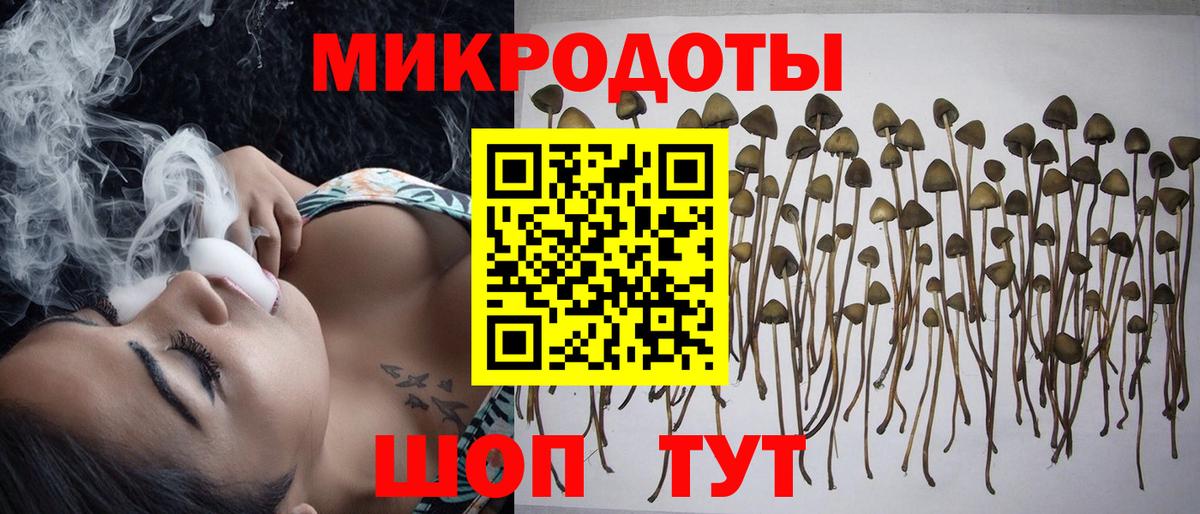 Псилоцибиновые грибы прущие грибы  Псилоцибиновые грибы Cubensis  Реж  Вход с VPN 